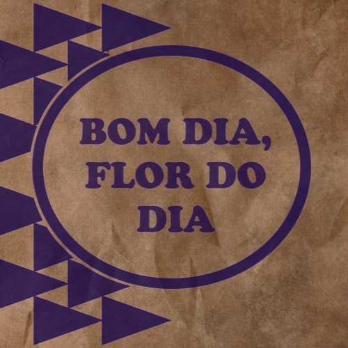 Bom dia, flor do dia
