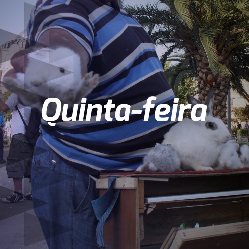 Quinta-feira