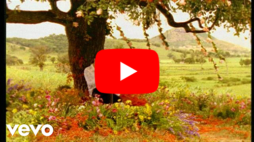 Legião Urbana - Perfeição