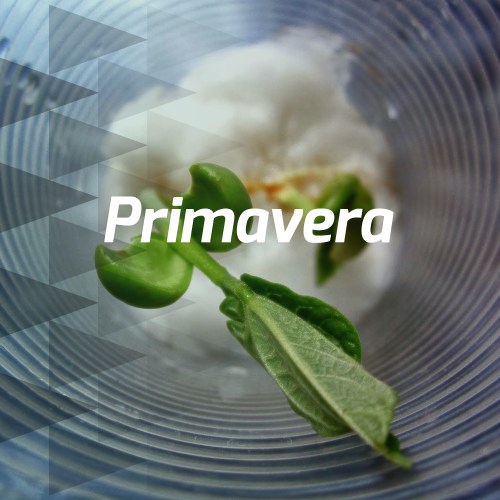 Primavera