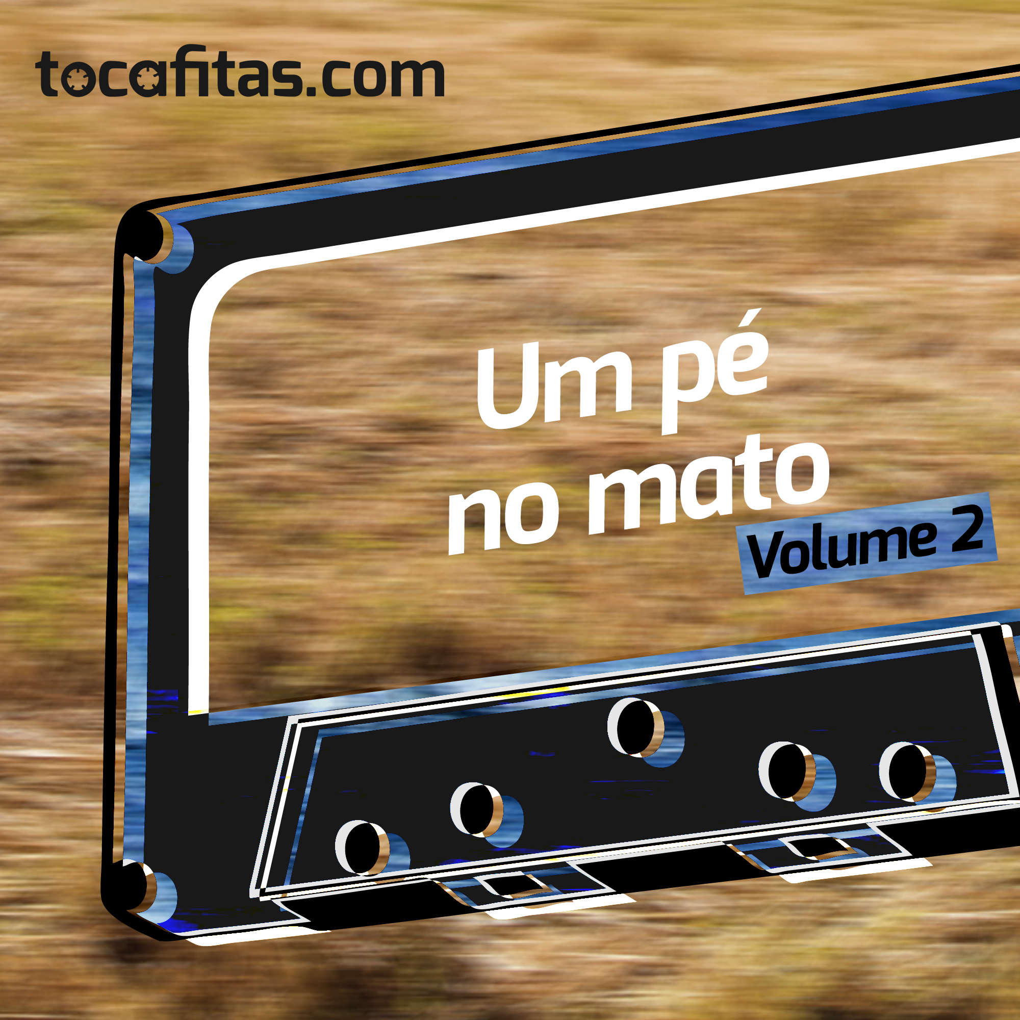 Um pé no mato - Volume 2